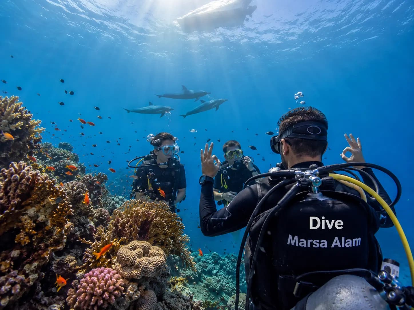 Zdjęcie podwodne z wyprawy nurkowej w Morzu Czerwonym w Marsa Alam