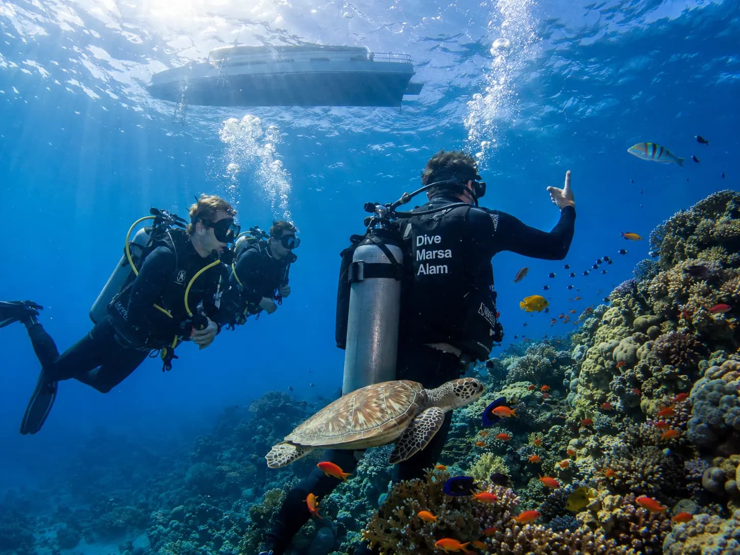 Zdjęcie podwodne z wyprawy nurkowej w Morzu Czerwonym w Marsa Alam